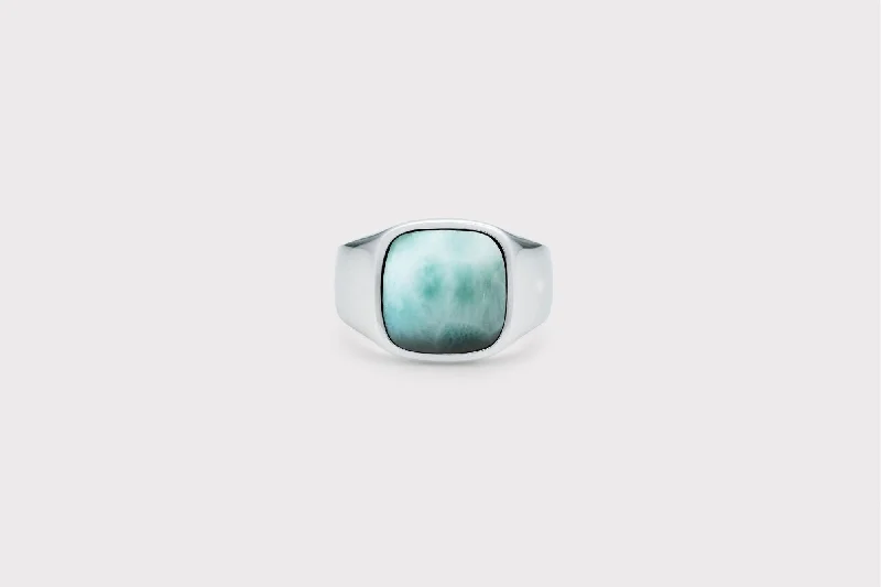Get The Jewelry You Love At A Price You Love IX Cushion Larimar Signet Ring